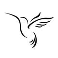 Bird of paradise silhouette drawn in black lines on a white background. Linear style tropical bird hummingbird. Logo for prints, t Royalty Free Stock Photo