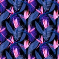 Bird of paradise tropical floral seamless pattern Royalty Free Stock Photo