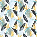 Bird of paradise tropical flower seamless pattern Royalty Free Stock Photo