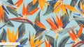 Realistic, vector, tropical wallpapers with strelitzia bird of paradise