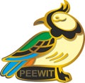 Bird peewit