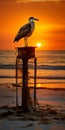 Rust Sunrise Bird: American Ipa Fine Art Photography