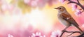 A bird is perched on a branch pink tree Royalty Free Stock Photo