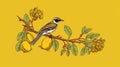 Bird is perched on branch with three lemons hanging from it. The bird appears to be enjoying fruit, as it sits near one