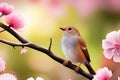 A bird is perched on branch tree with pink flowers Royalty Free Stock Photo