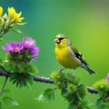 a bird is perched on a flower bush with many flowers in the background and a painting of a yellow Royalty Free Stock Photo