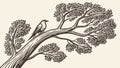 Bird perched on an old gnarly tree branch in a natural setting, vector design Generative AI Royalty Free Stock Photo