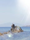 Bird perched on rock In sea with light glare