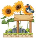 A bird perched on a sign among sunflowers Royalty Free Stock Photo