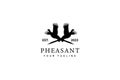 Bird Pheasant logo design template Royalty Free Stock Photo