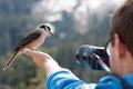 Bird in Photographers Hand