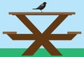 Bird on Picnic Table