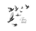 Gray doves are flying. Logo Free birds. Vector illustration Royalty Free Stock Photo