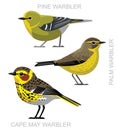 Bird Pine Cape May Warbler Set Cartoon Vector Royalty Free Stock Photo