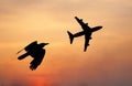 Bird and plane flying black silhouette composition Royalty Free Stock Photo