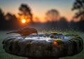 A bird, possibly a robin, drinks from a moss-covered stone birdbath Royalty Free Stock Photo