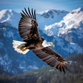 Eagle flying over mountains.