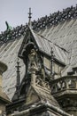 Notre Dame of Paris, France, roof fragement Royalty Free Stock Photo