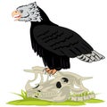 Bird of prey vulture on skeleton animal