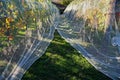 Bird proof nets protecting grape production in New Zealand