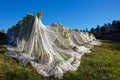 Bird proof netting protecting grape production in New Zealand