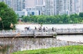 Bird Protection Base of West Lake Park in Changsha City, Hunan Province