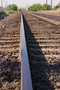 Bird on the Railroad Tracks Royalty Free Stock Photo