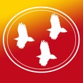 Bird Raptor Eagle Vulture Flying Image Background Logo Banner