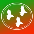 Bird Raptor Eagle Vulture Flying Image Background Logo Banner