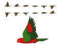 Bird Red Parrot Chattering Lory Flying Animation Sequence Cartoon Vector Royalty Free Stock Photo