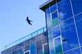 A bird repellent that imitating a hawk and prevents birds from hitting the glass facade