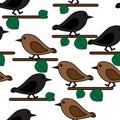 Bird repetition