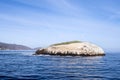 Bird Rock at Catalina Island Royalty Free Stock Photo