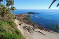 Bird Rock at Low Tide off Heisler Park. Laguna Beach, California. Royalty Free Stock Photo