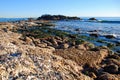 Bird Rock at Low Tide off Heisler Park. Laguna Beach, California. Royalty Free Stock Photo