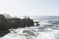 Bird Rock in Point Lobos State Reserve Park in Monterey California on a sunny, yet hazy day. Birds such as pelicans and seagulls Royalty Free Stock Photo