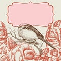 Bird and roses