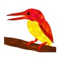 Bird rufous back kingfisher with red head and wing