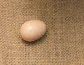 Bird's egg