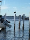 Bird`s Eye View Charlotte Harbour, Punta Gords, Florida Royalty Free Stock Photo