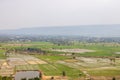 A bird\'s-eye view of farmland, green rice fields, wide expanses