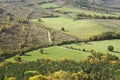 Bird's eye view of fields and forest in autumn Royalty Free Stock Photo