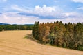 Aerial view of forest dieback in a European coniferous forest