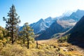 Bird's eye view of Luorong Meadow in Daocheng Yading