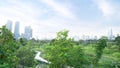 A bird\'s-eye view of a park. with trees growing lushly In the middle there is a nice concrete walkway Royalty Free Stock Photo