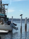 Bird`s Eye View Punta Gorda, Florida Royalty Free Stock Photo