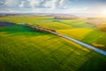 Bird\'s eye view of rural road passing through agricultural land and green fields Royalty Free Stock Photo