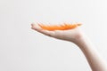 Child`s hand holding orange feather over white background Royalty Free Stock Photo