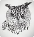 The bird`s head Eagle Owl, hand drawing, vector illustration Royalty Free Stock Photo