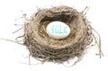 Bird's Nest with 401K Egg Royalty Free Stock Photo